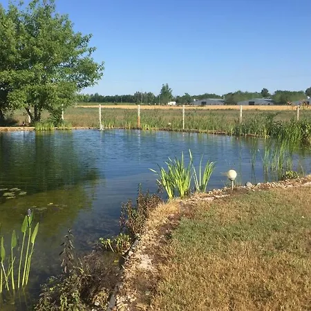 公寓 Tanya Anna Csengele